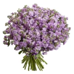 Букет Агата