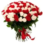 Букет из 51 красно-белой розы