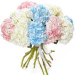 Гортензии нежный микс